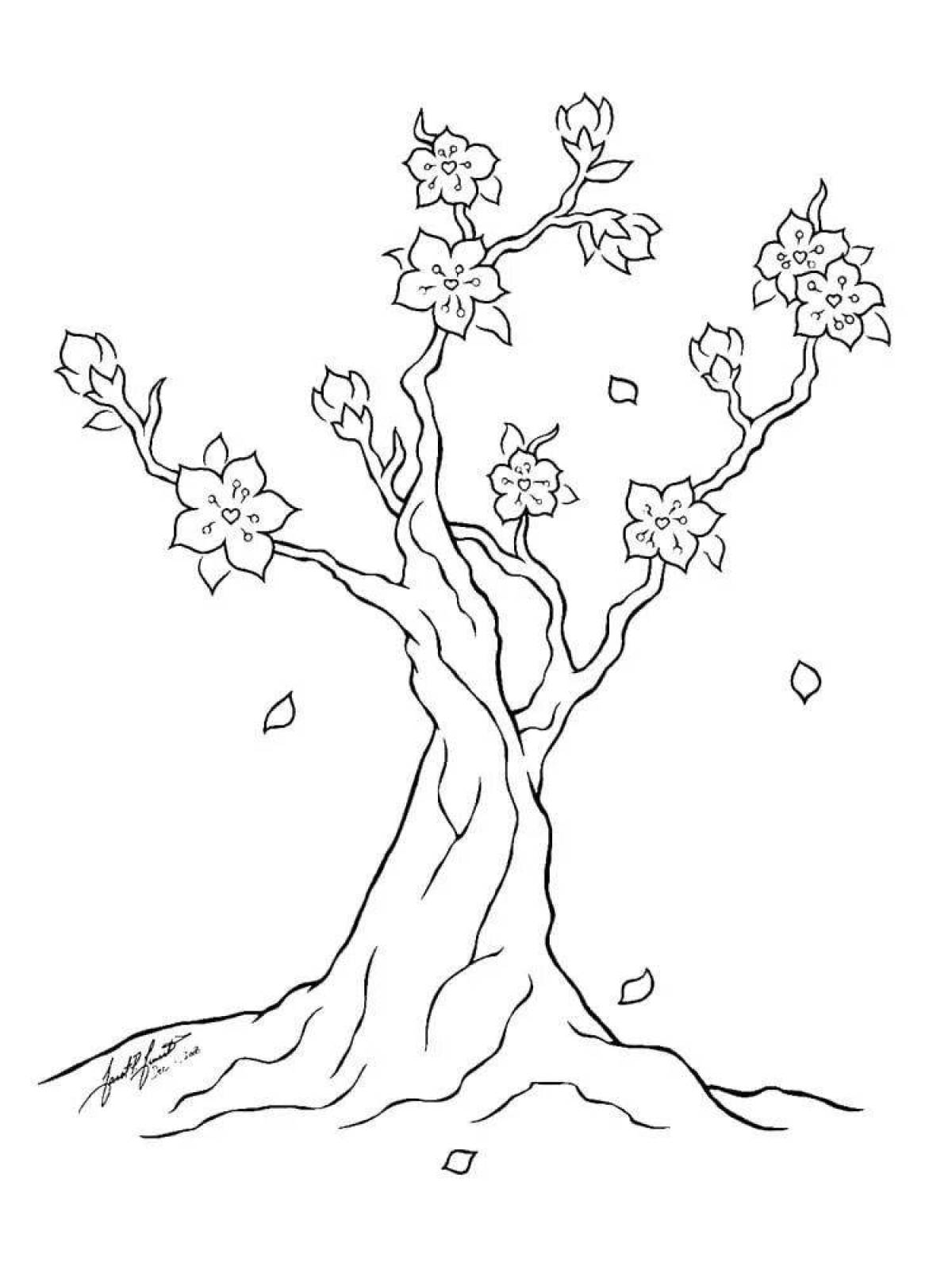 Как нарисовать дерево сакуры. Рисунок Сакуры для срисовки. Сакура дерево рисунок карандашом. Сакура рисунок карандашом для срисовки. Раскраска Сакура дерево.