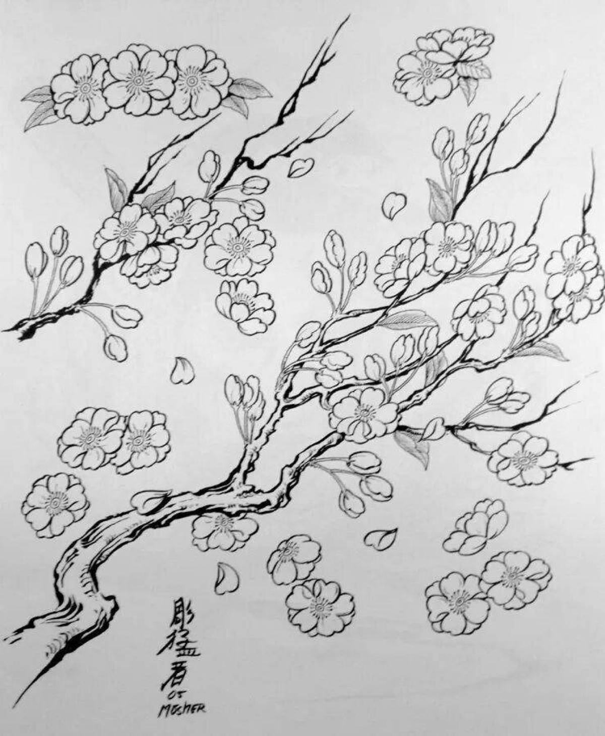 Как нарисовать дерево сакуры. Сакура карандашом. Сакура рисунок. Дерево Сакура карандашом. Ветка Сакуры рисунок.