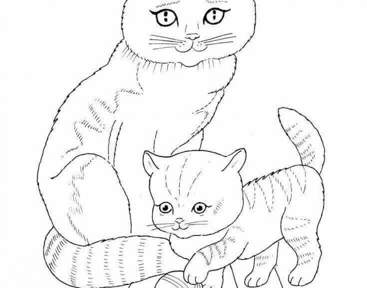 Вислоухая кошка рисунок