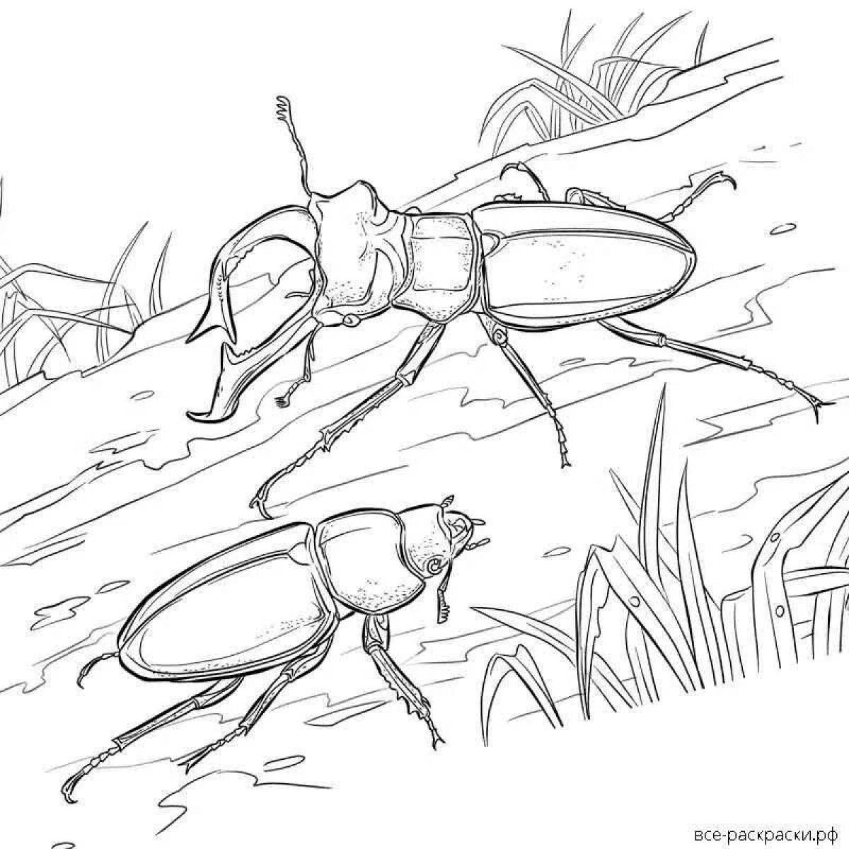 Рисунок жук олень