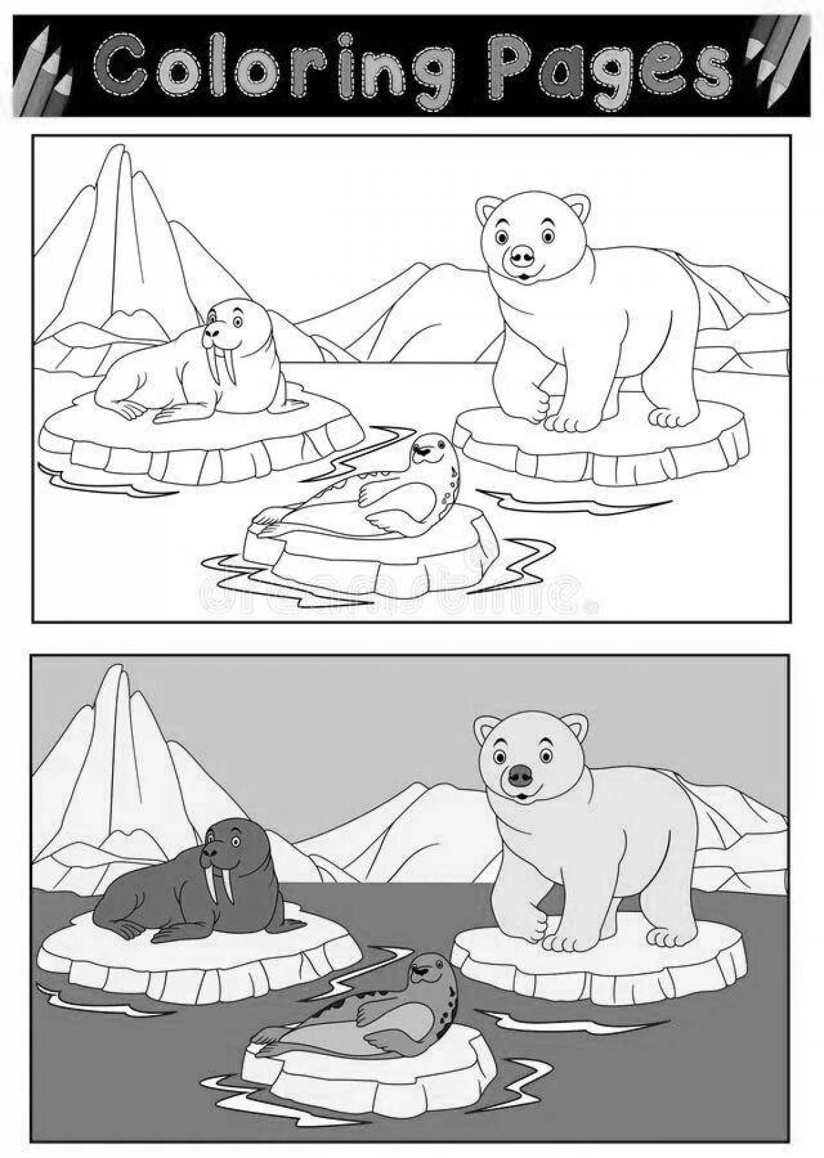 Gorgeous north pole animal coloring book