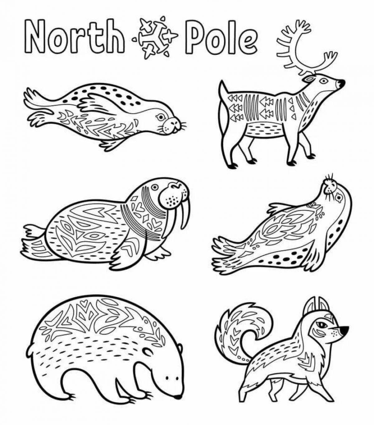 Изысканная раскраска животные северного полюса