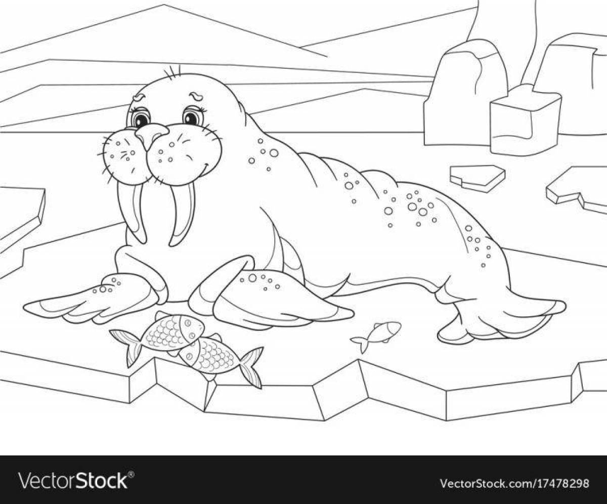 Colourful coloring pages animals of the north pole