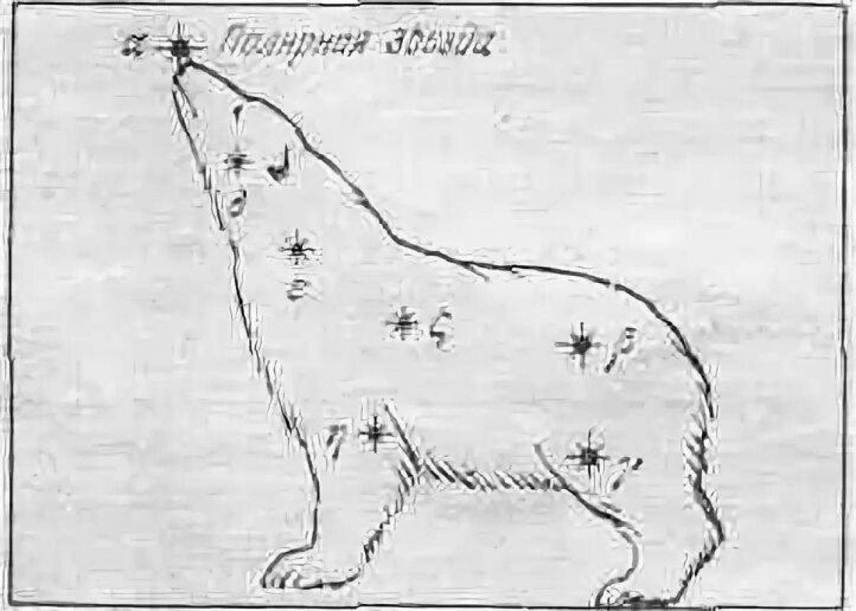 Coloring page gorgeous Ursa Minor and polar star