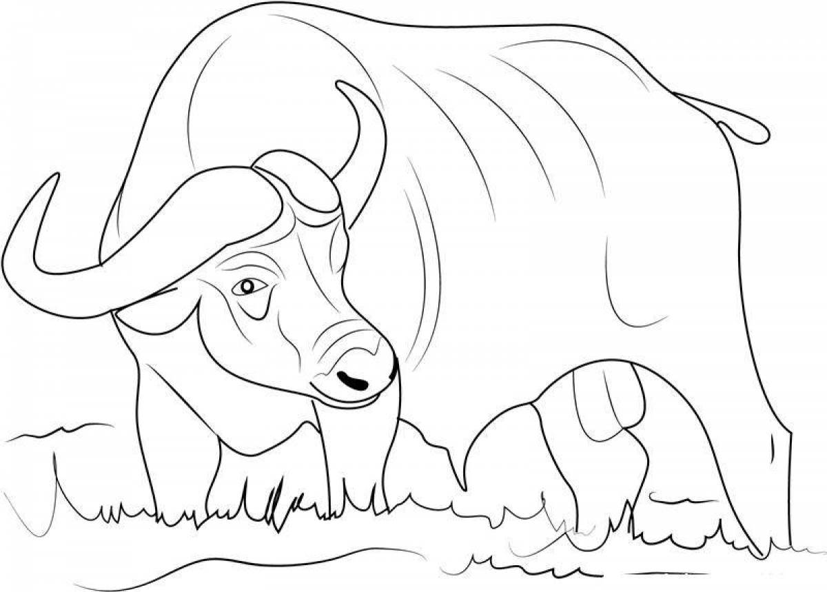 Раскраска «великолепный буйвол»