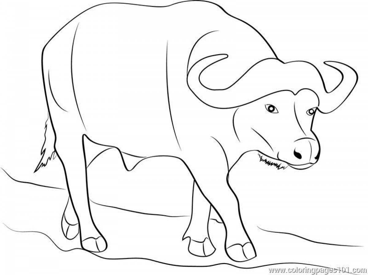 Great buffalo coloring page