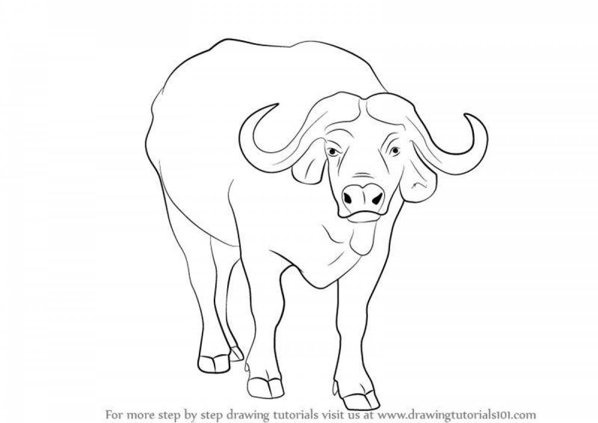 Coloring book shining buffalo