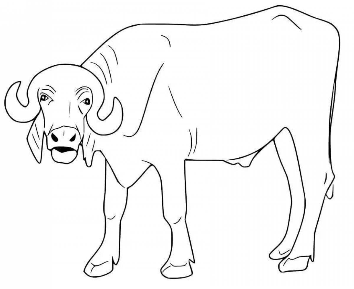 Coloring page luxury buffalo