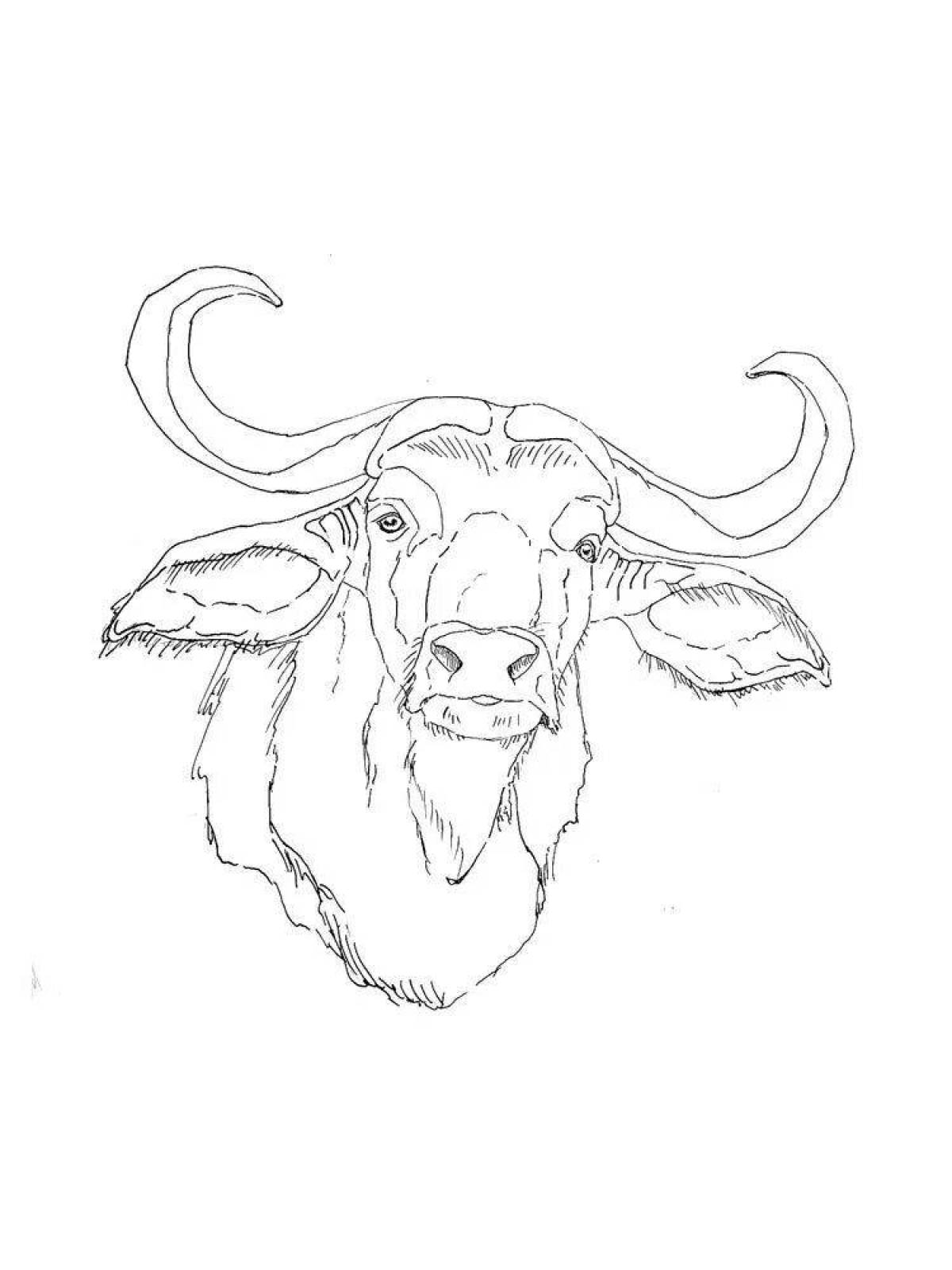 Luminous buffalo coloring page