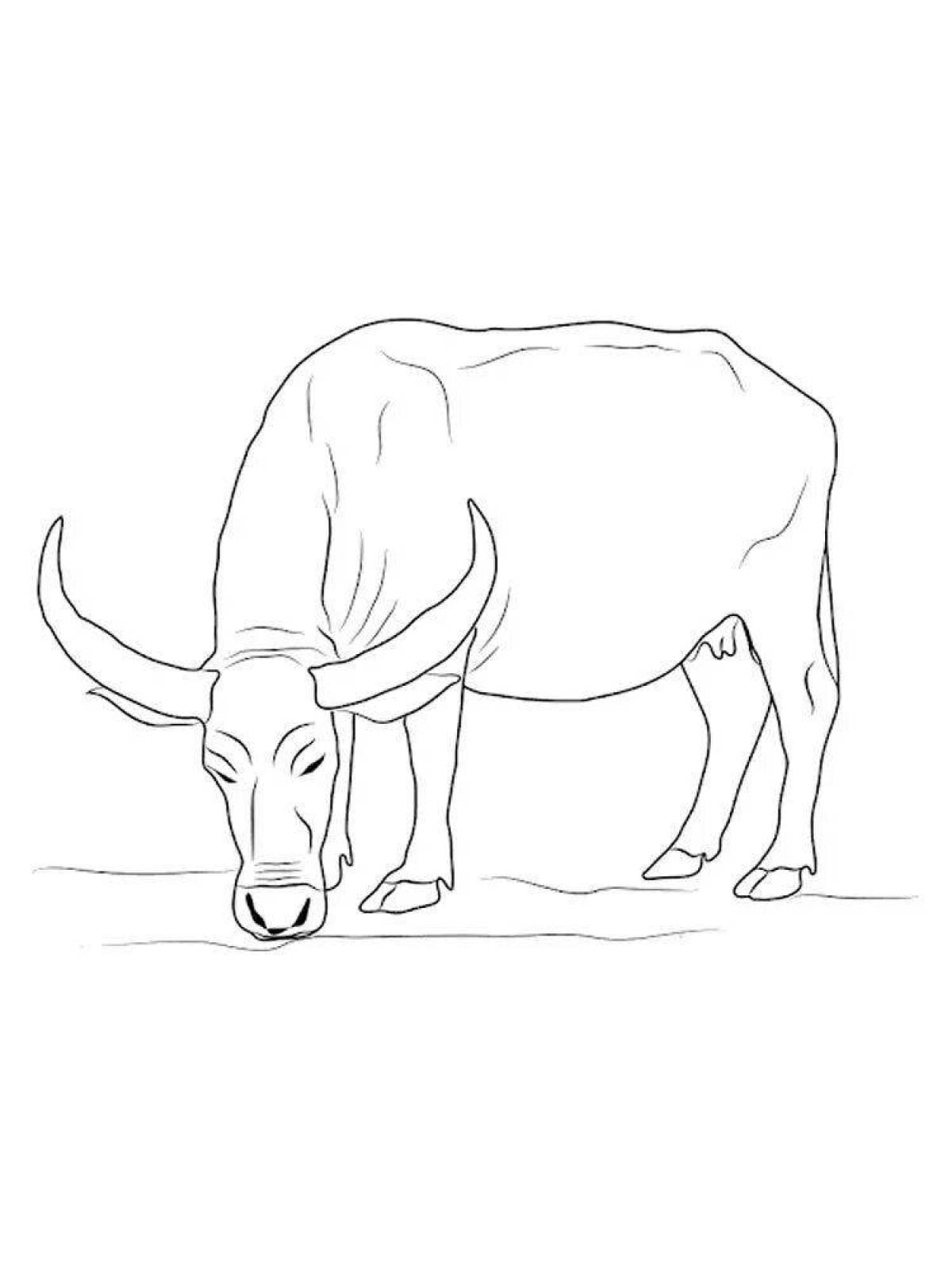 High buffalo coloring page