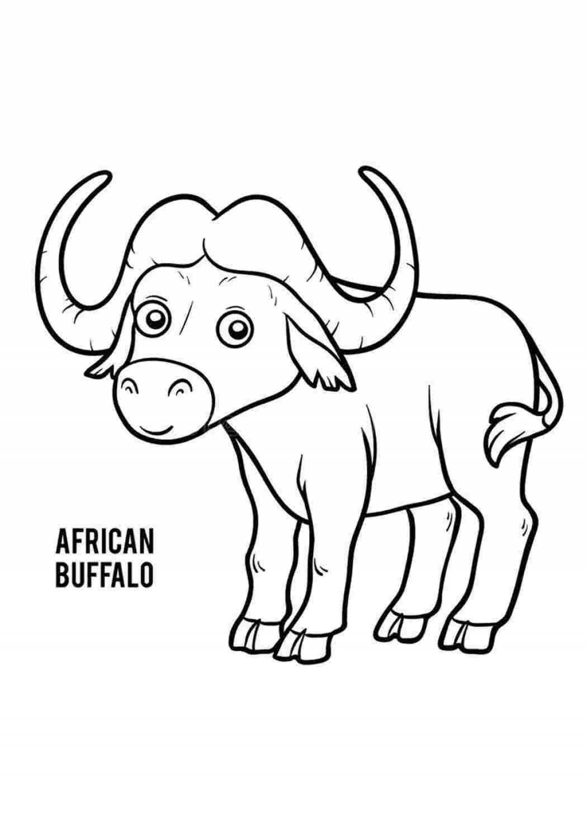 Buffalo #6