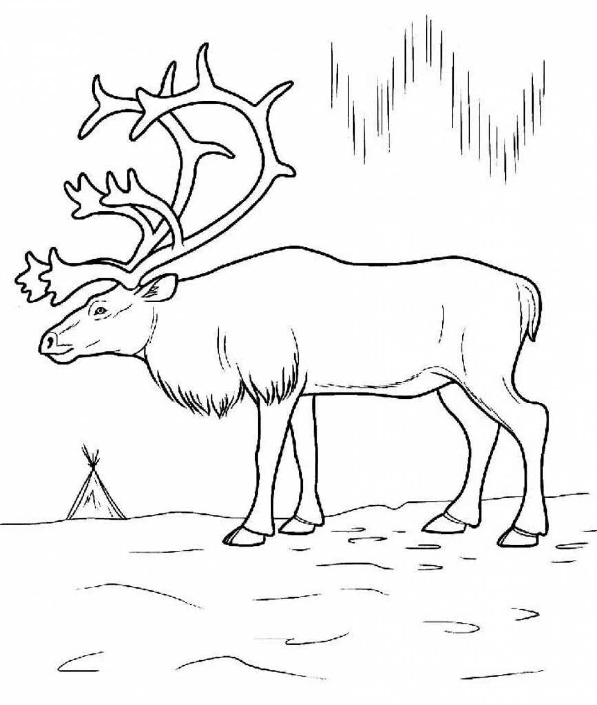 Colorful northern animals coloring page