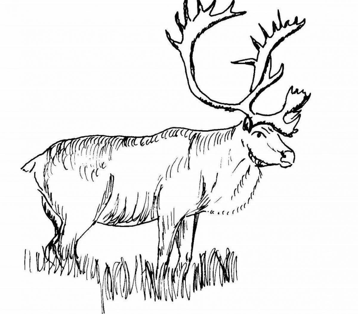Intriguing northern animal coloring page