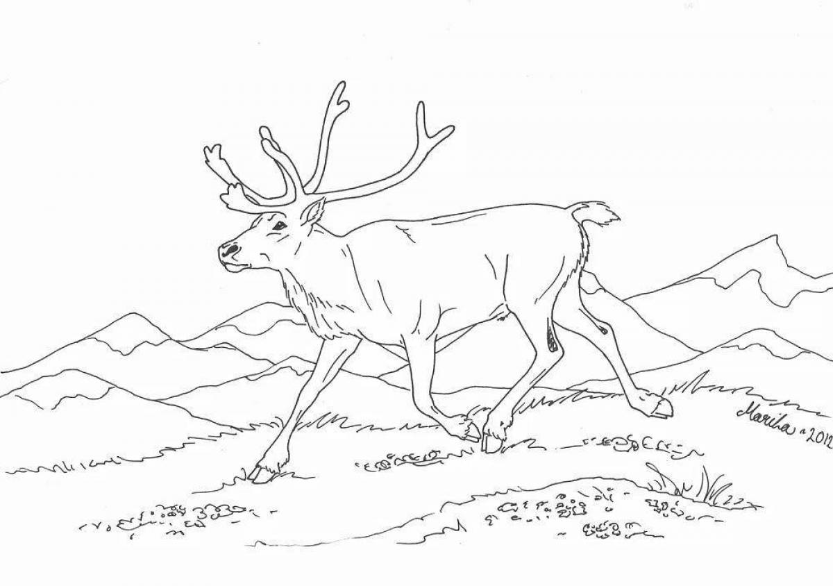 Exciting northern animal coloring book