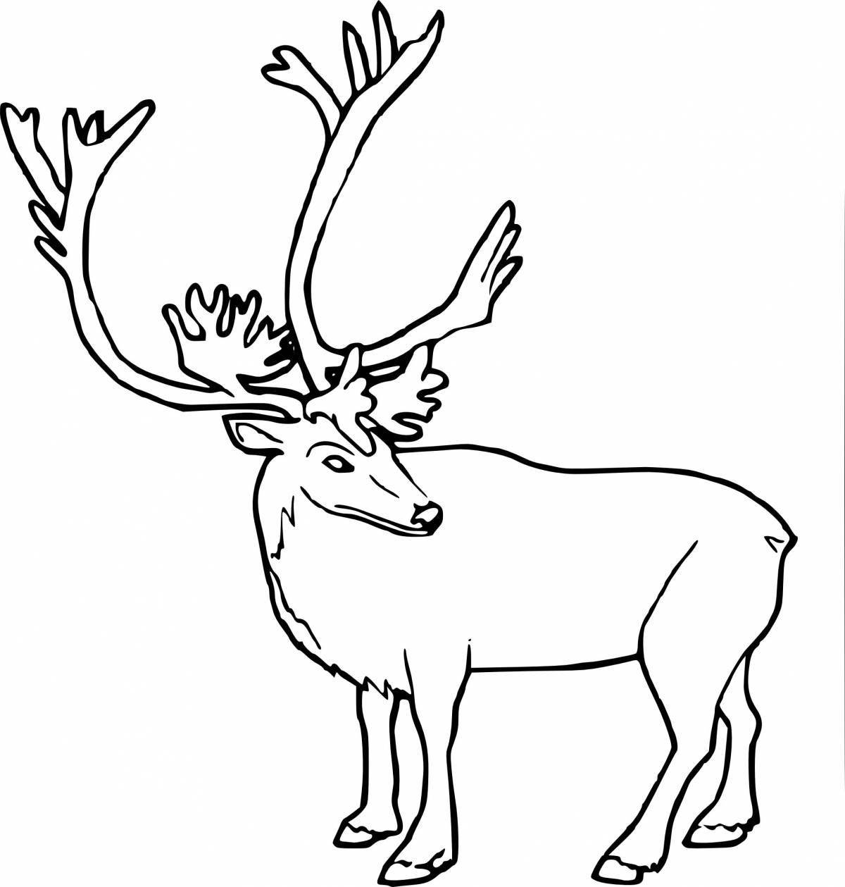 Attractive northern animal coloring page