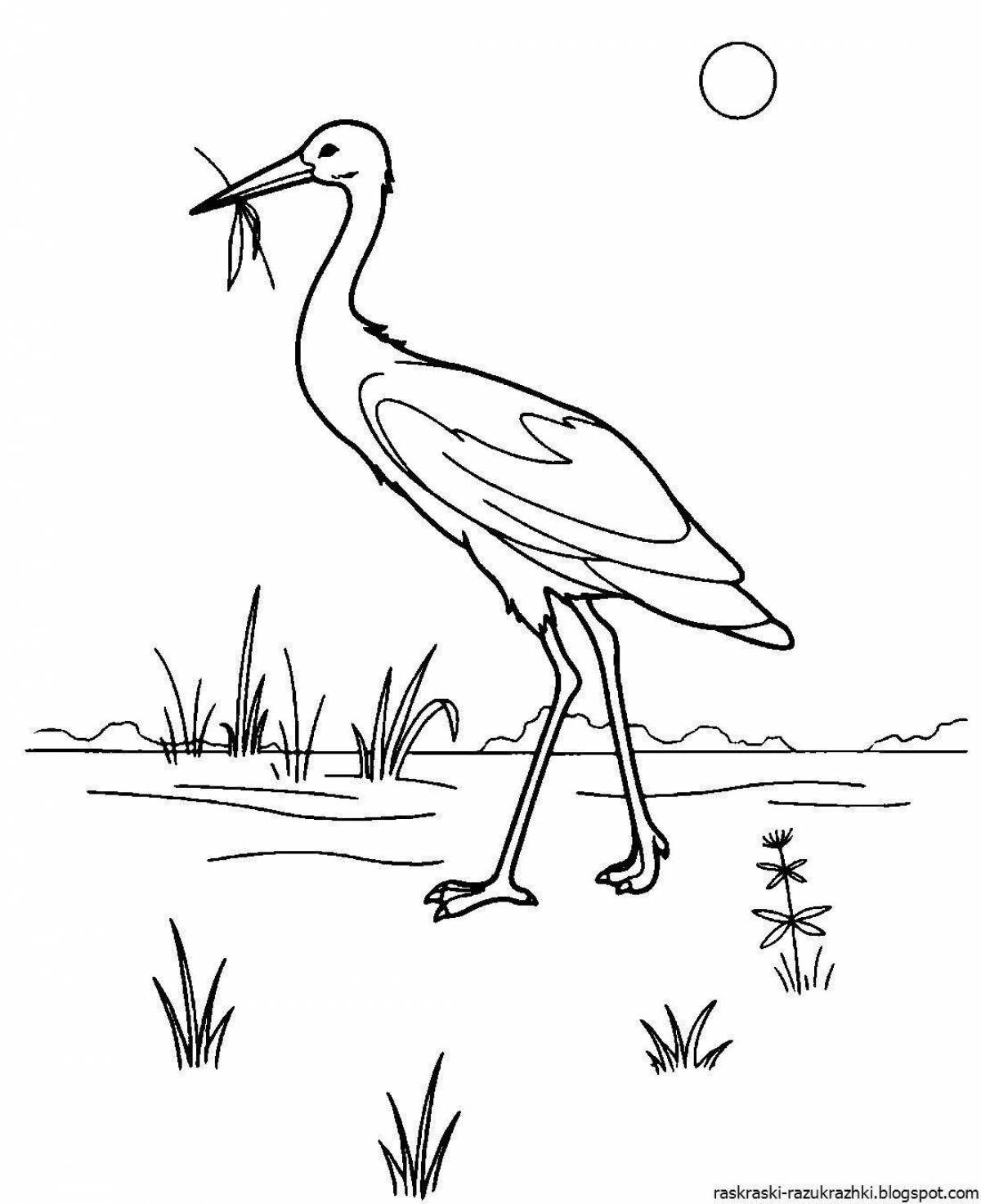 Great black stork coloring page