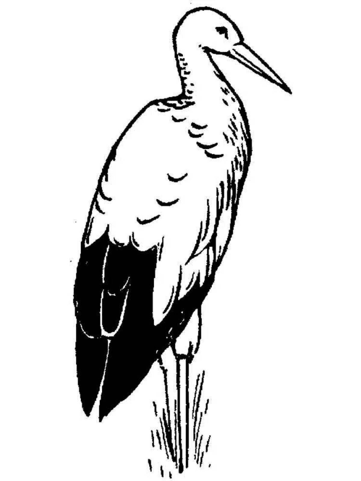 Exquisite black stork coloring page