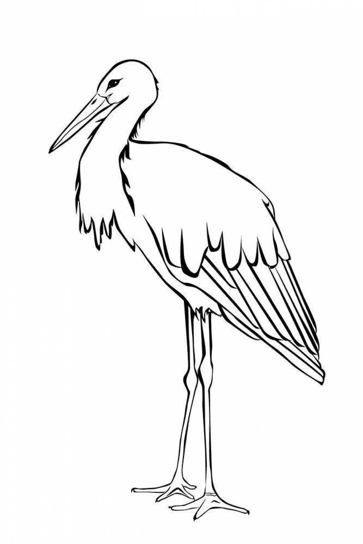 Coloring book dazzling black stork