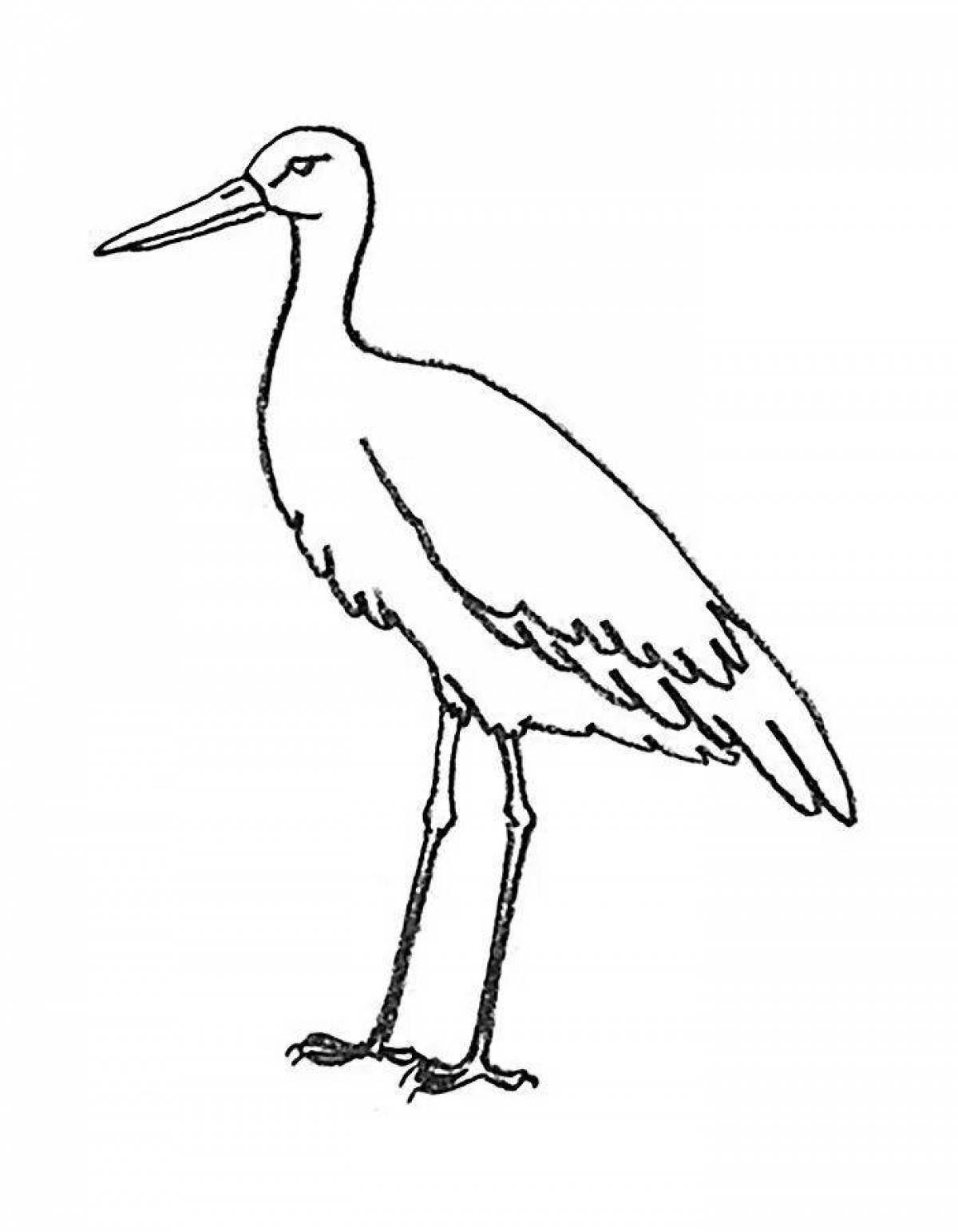 Adorable black stork coloring page