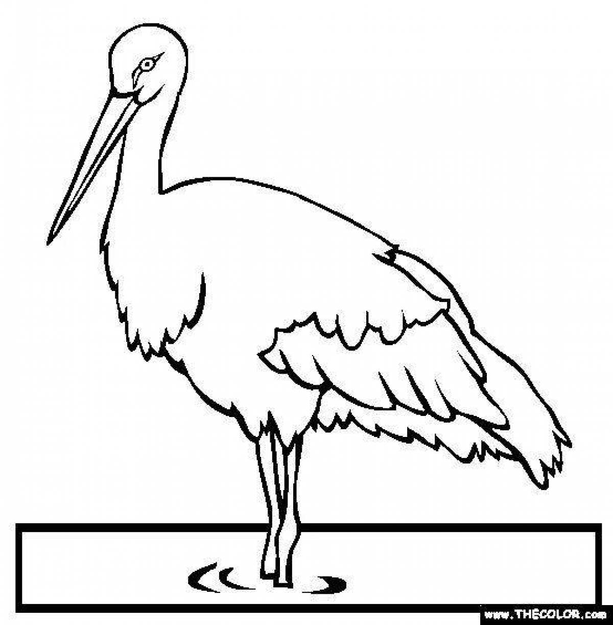 Brightly colored black stork coloring book