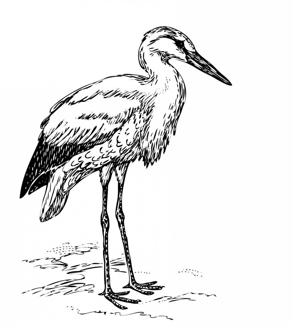 Colorfully detailed black stork coloring page