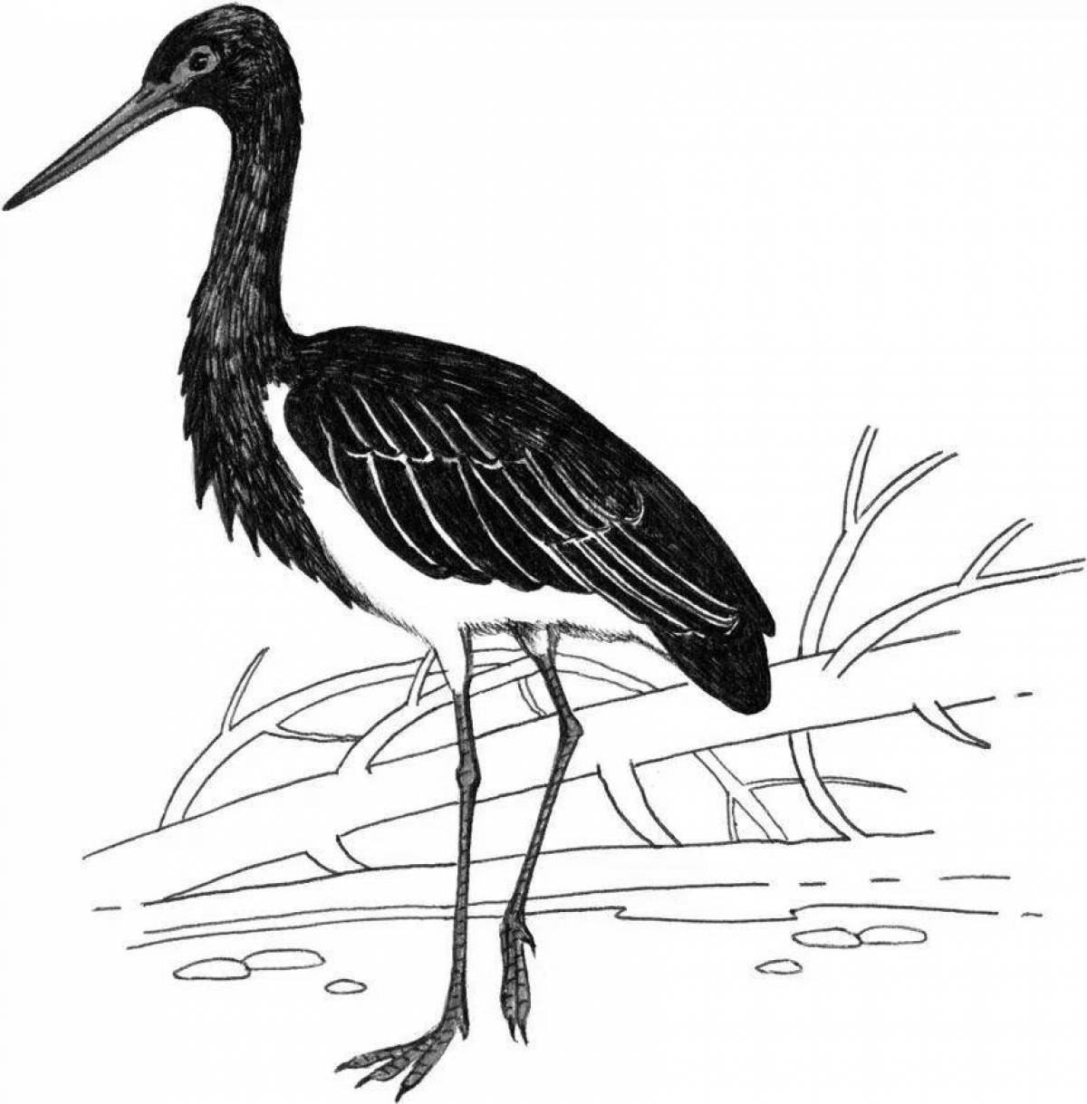 Colorful black stork coloring page