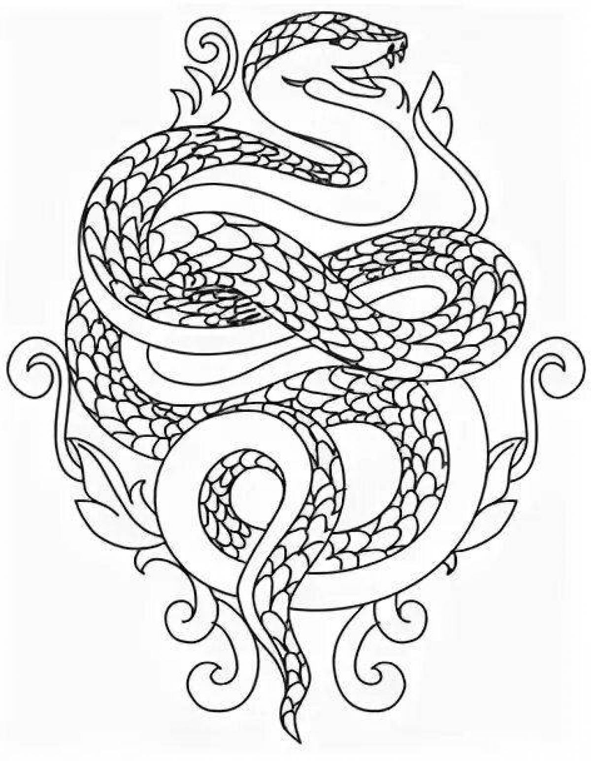 Magic coloring snake antistress
