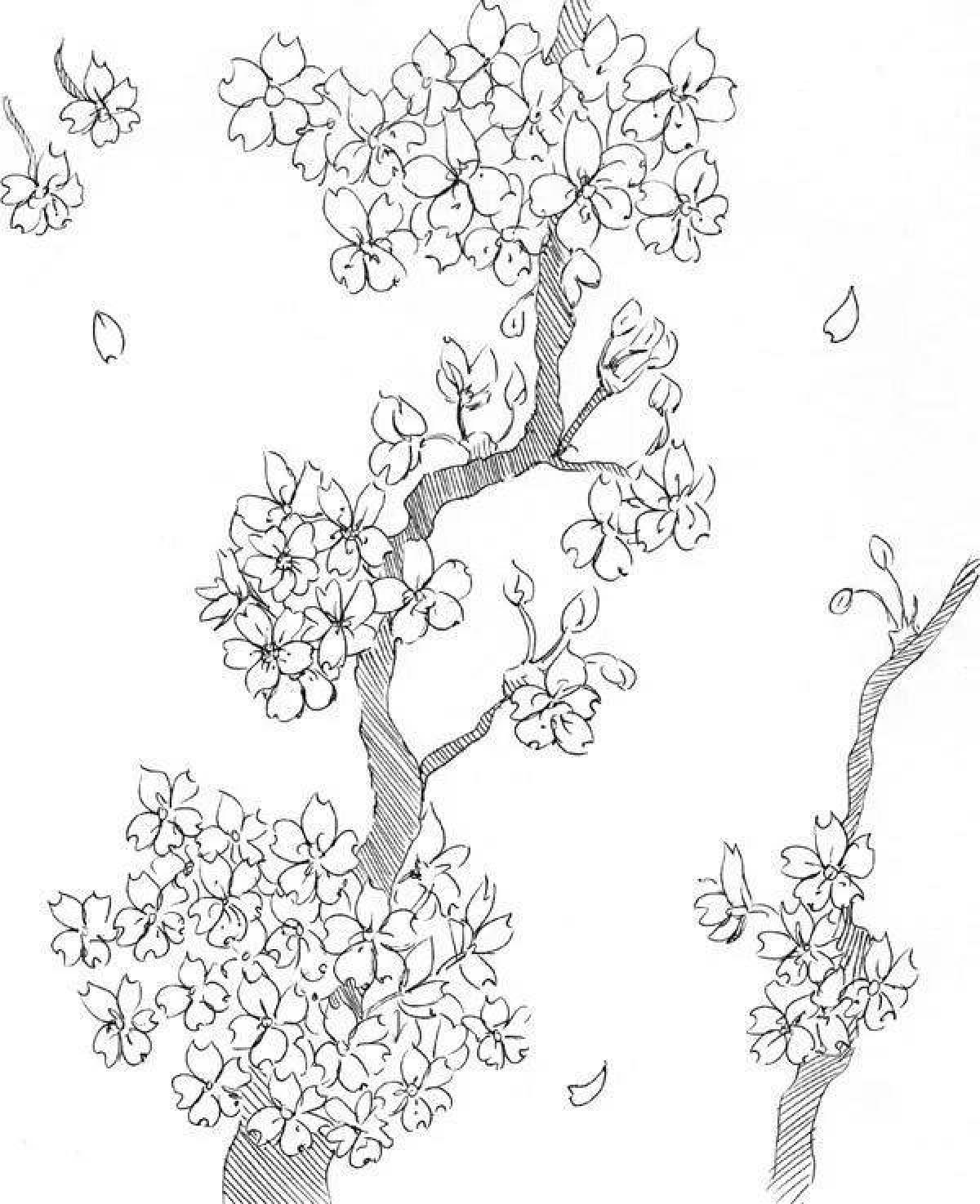 Exquisite sakura coloring page