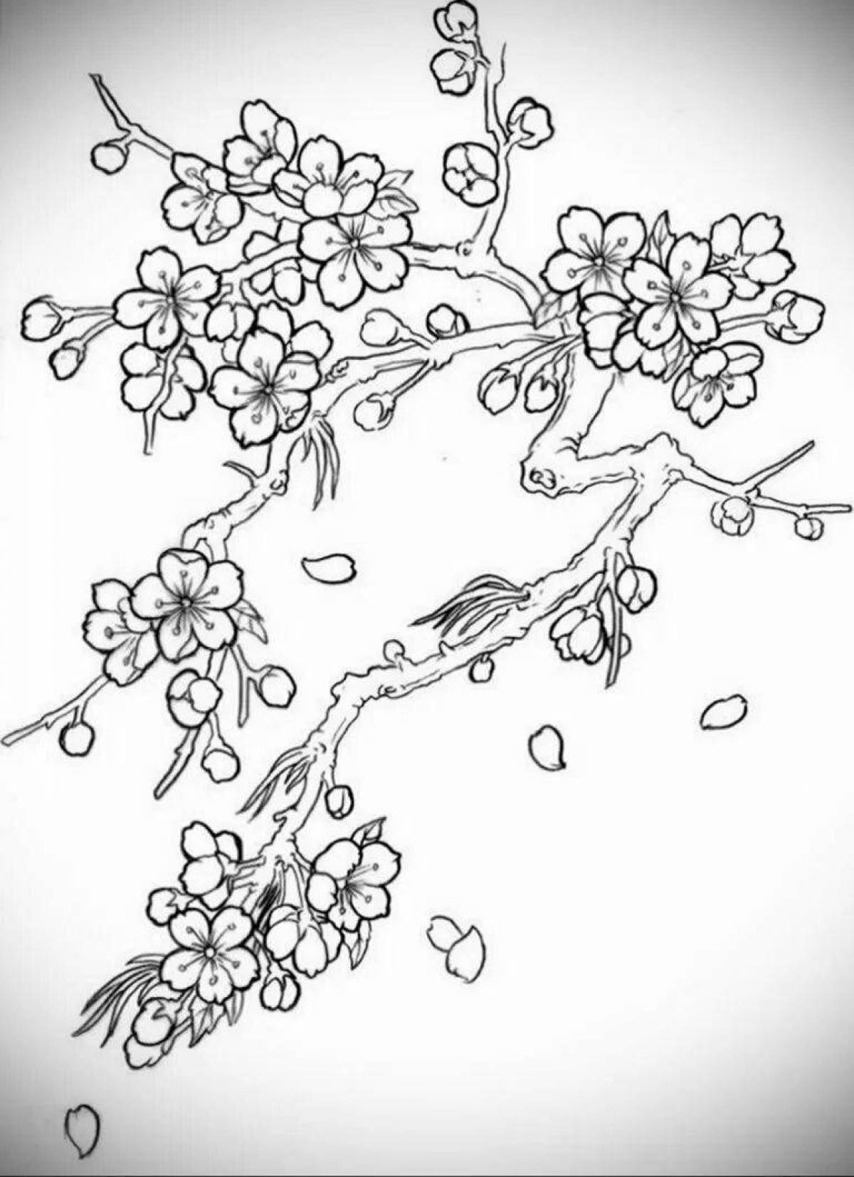 Coloring cherry blossom coloring page