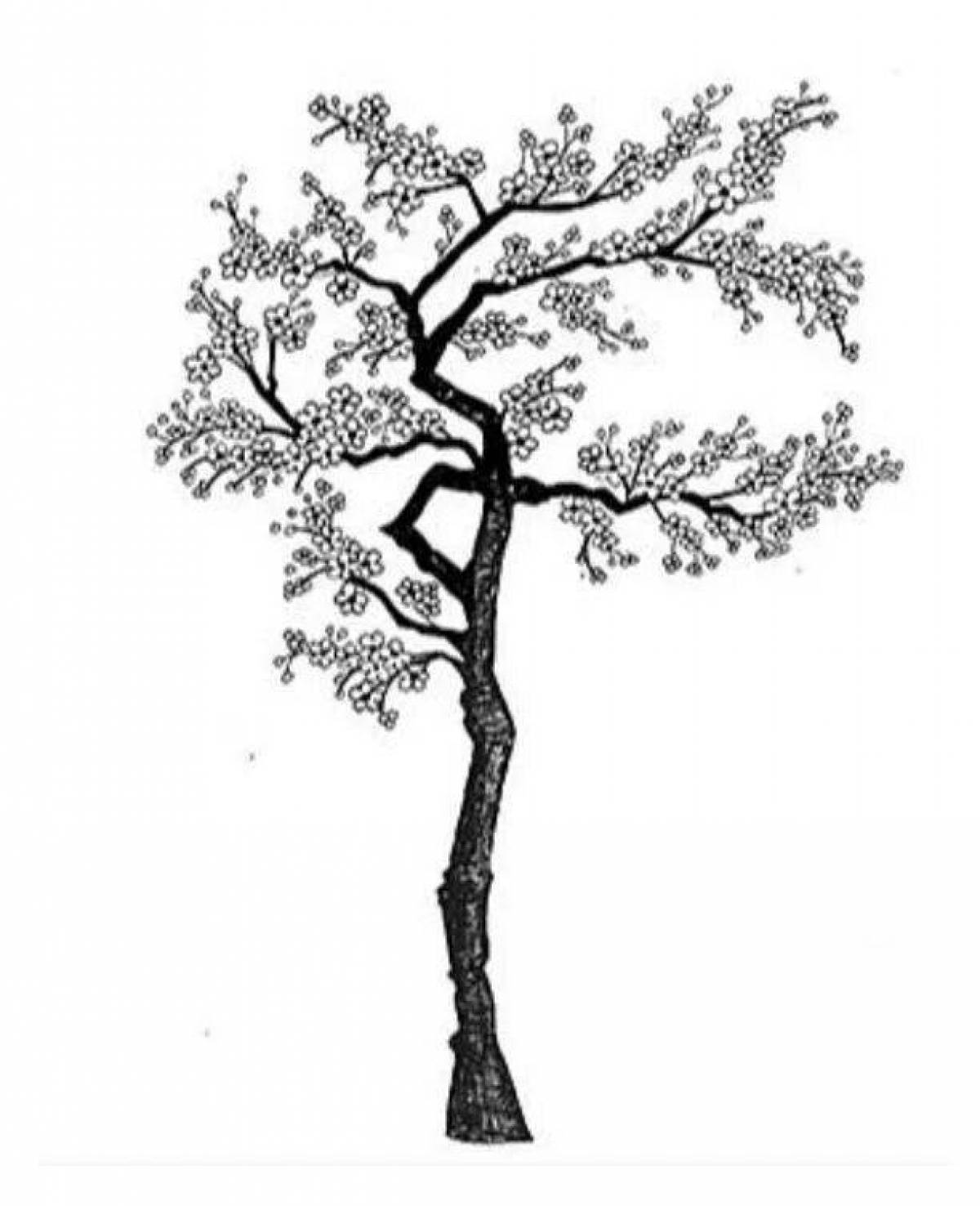 Раскраска великолепное дерево сакуры