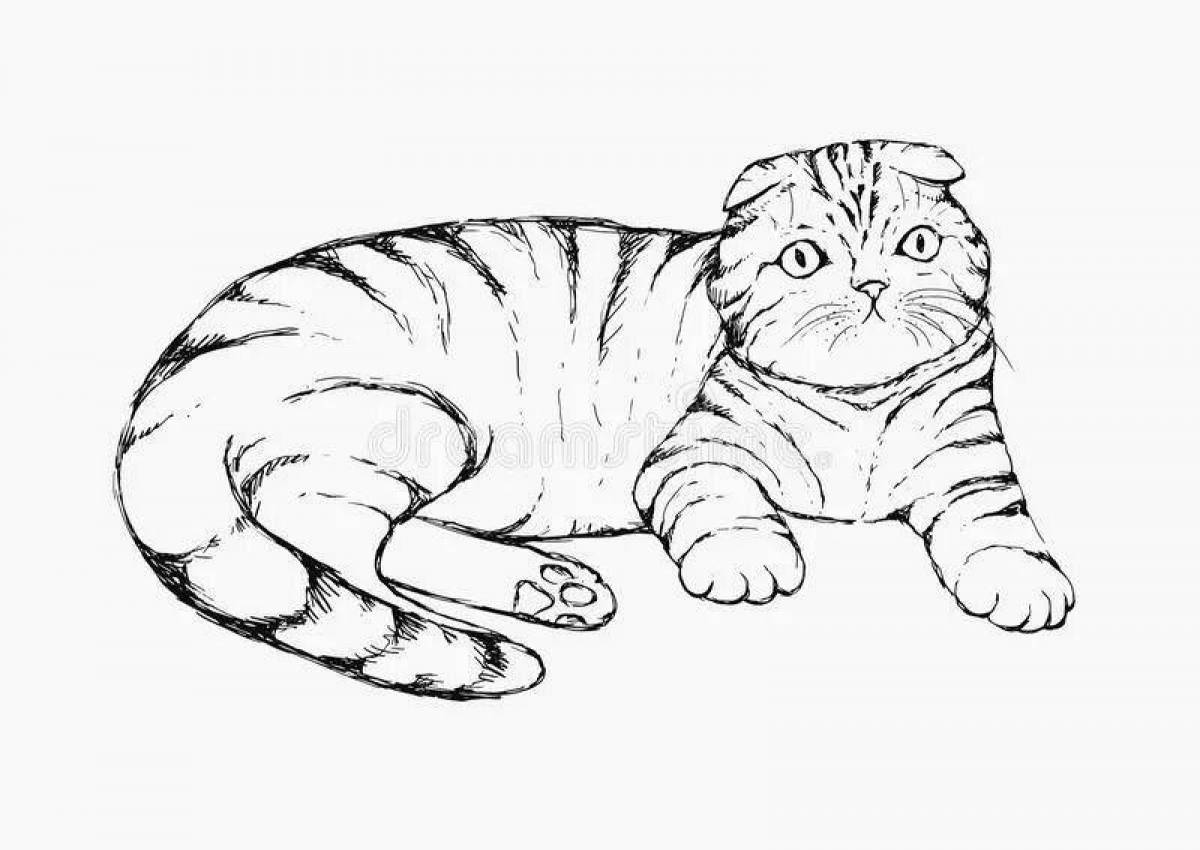 Adorable fold cat coloring book