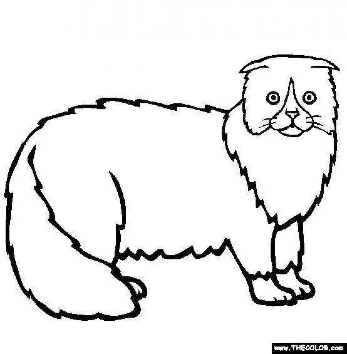 Animated fold cat coloring page