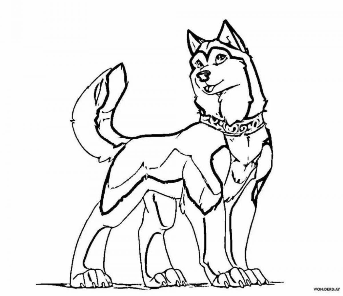 Coloring page fluffy husky puppy