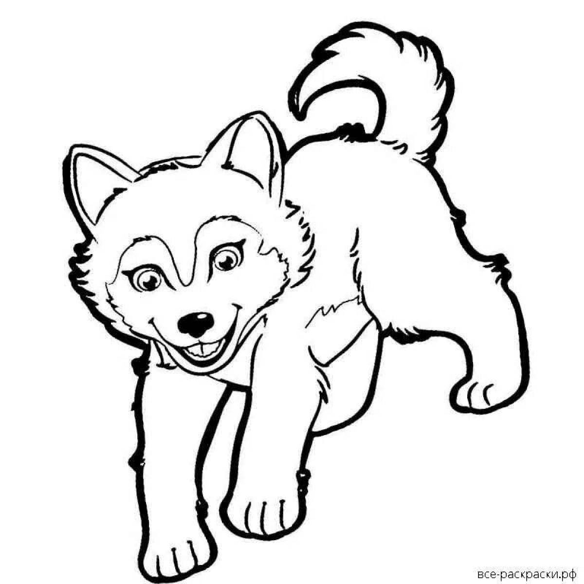 Coloring page fluffy husky puppy