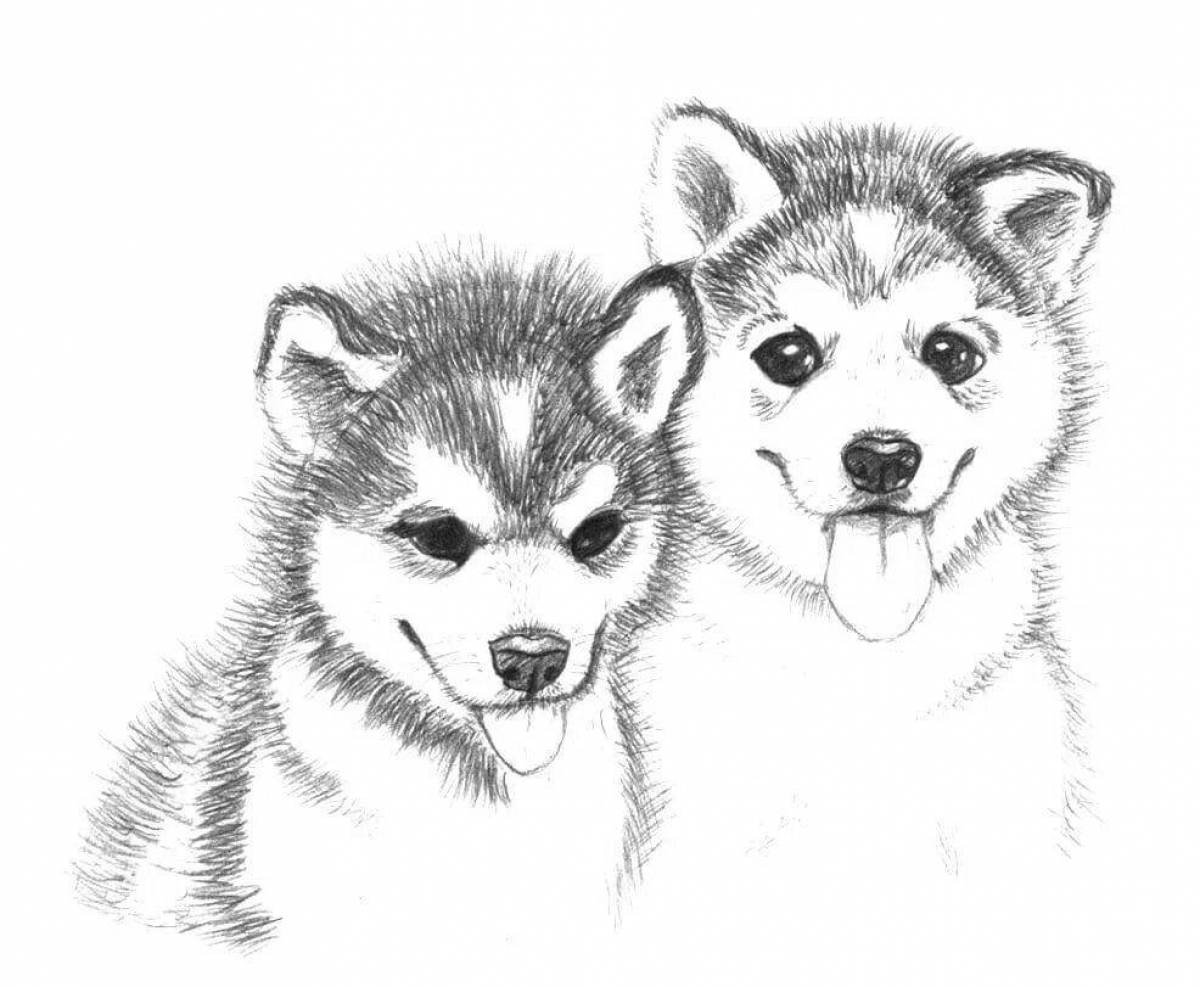 Friendly husky puppy coloring book