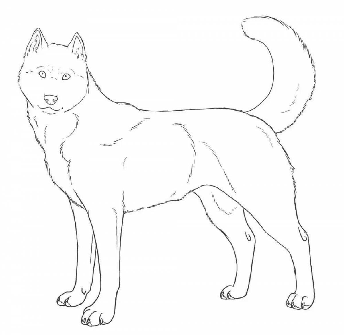 Wiggly husky puppy coloring page