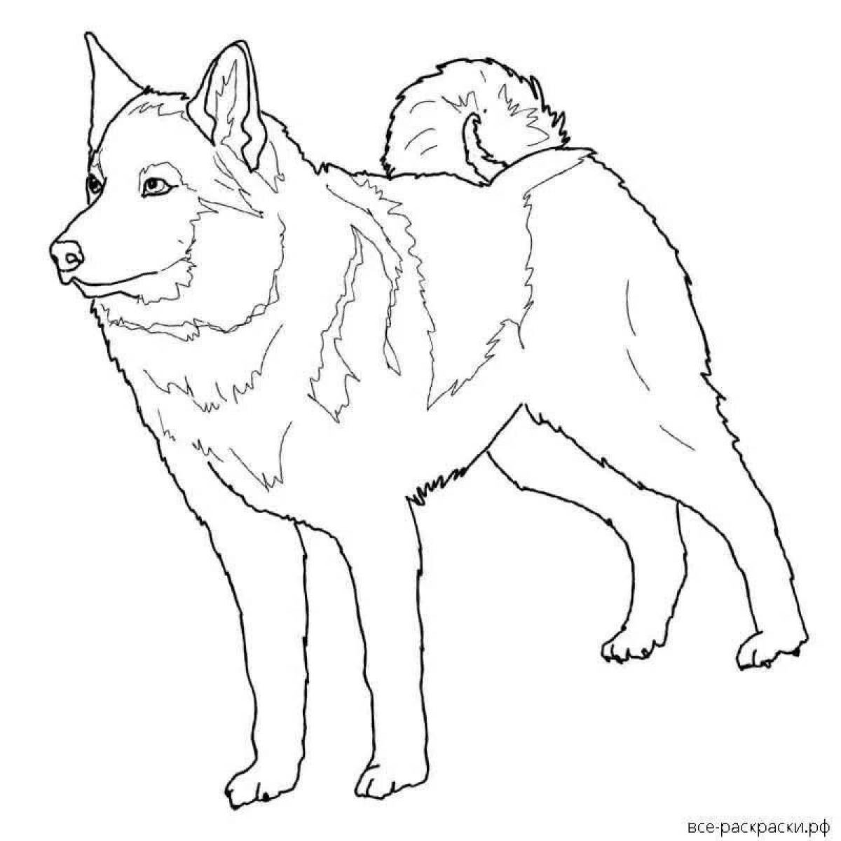 Snuggly husky puppy coloring page