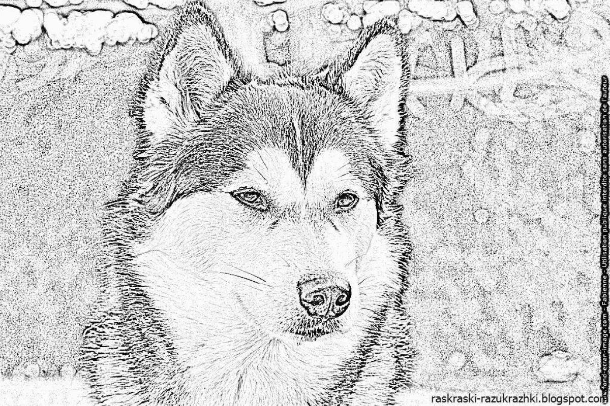 Affectionate Husky Puppy Coloring Page