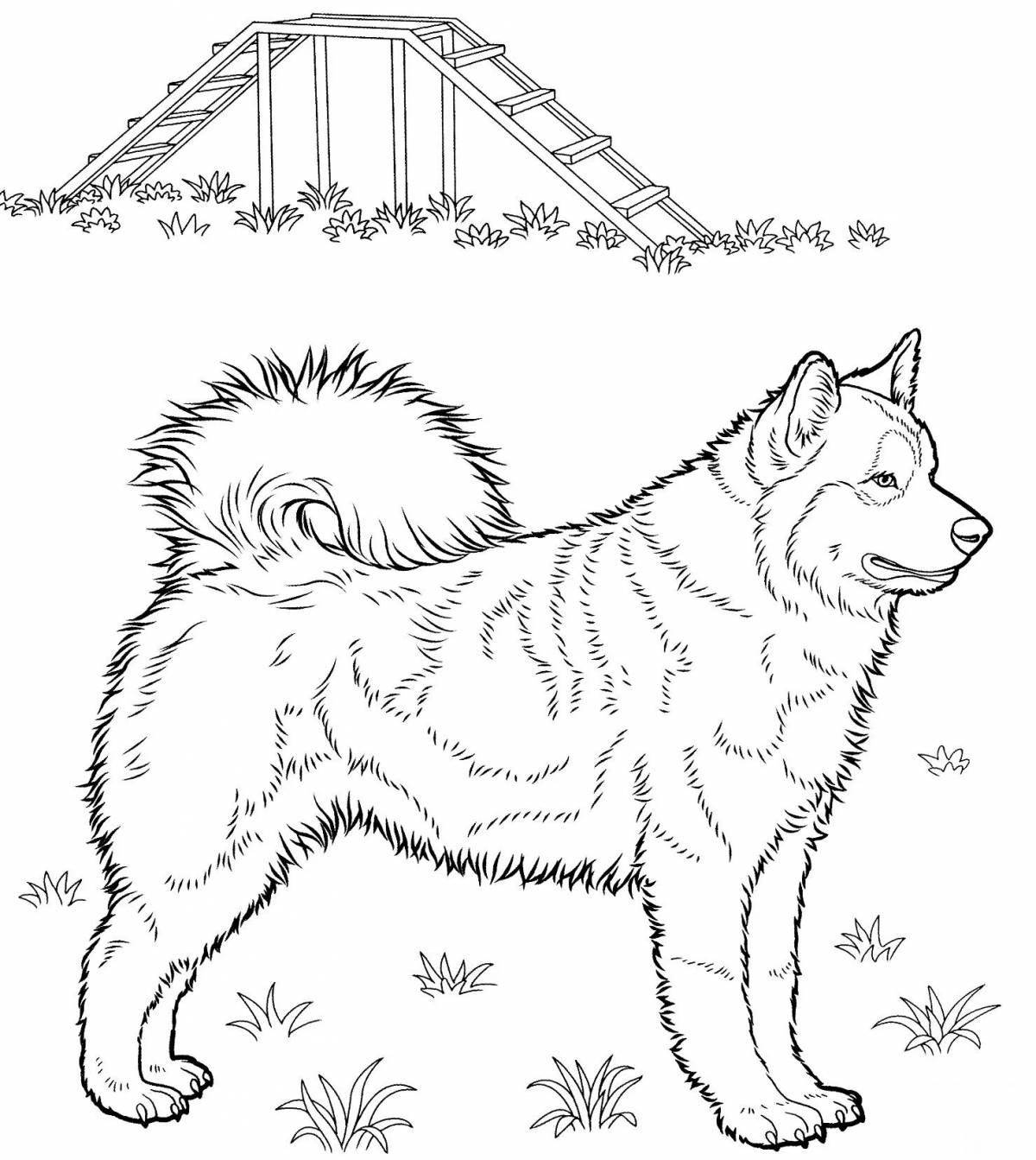 Coloring page happy husky puppy