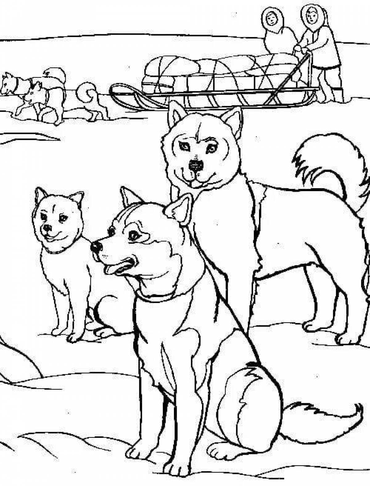 Coloring page friendly husky puppy