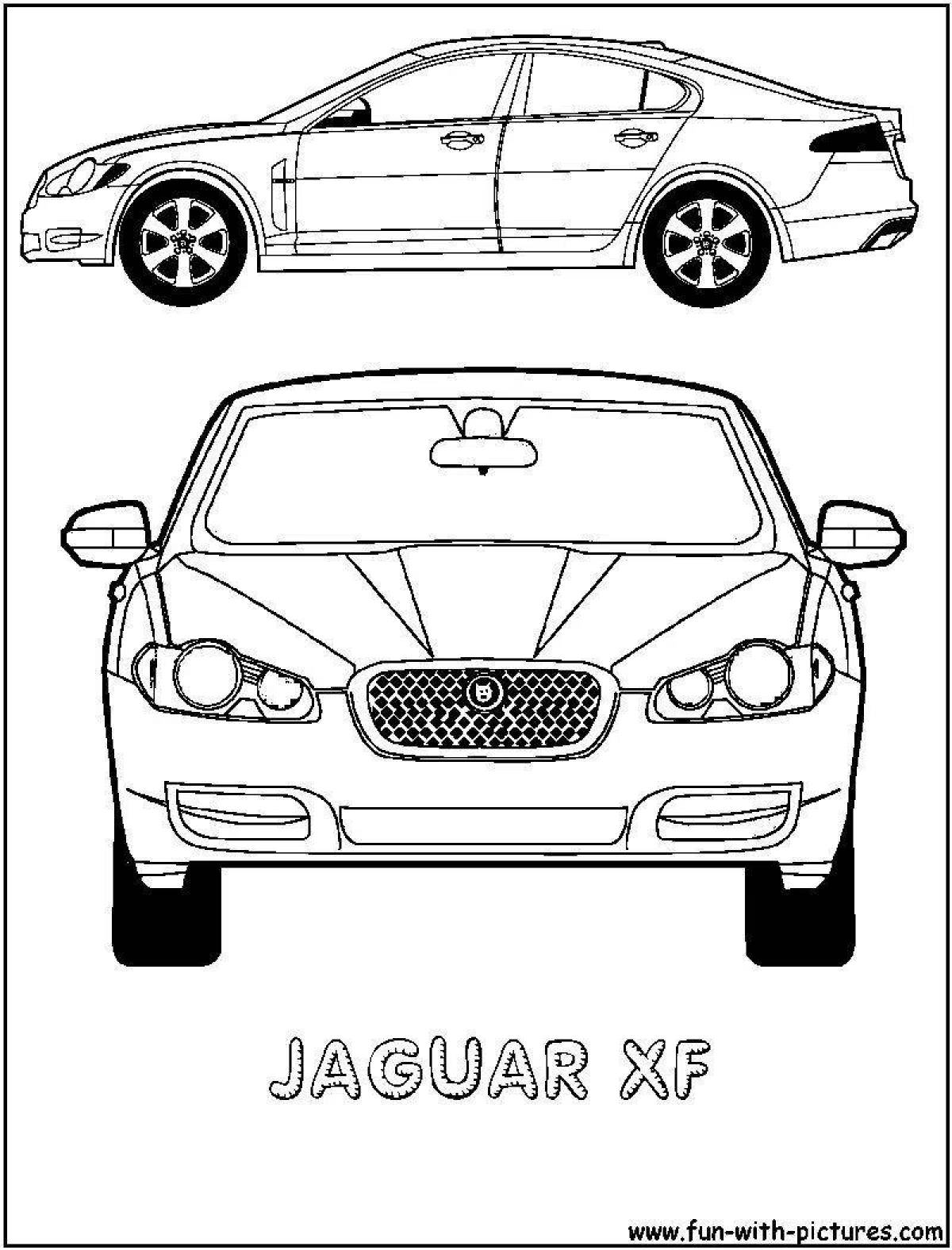 Coloring book shiny jaguar