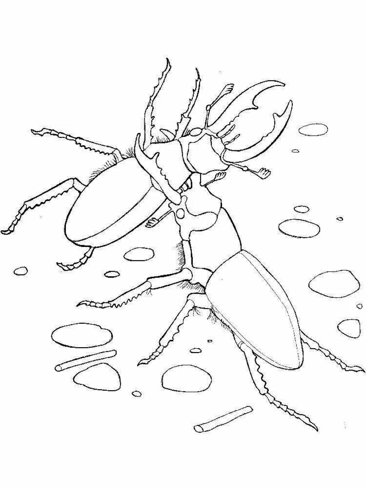 Majestic stag beetle coloring book