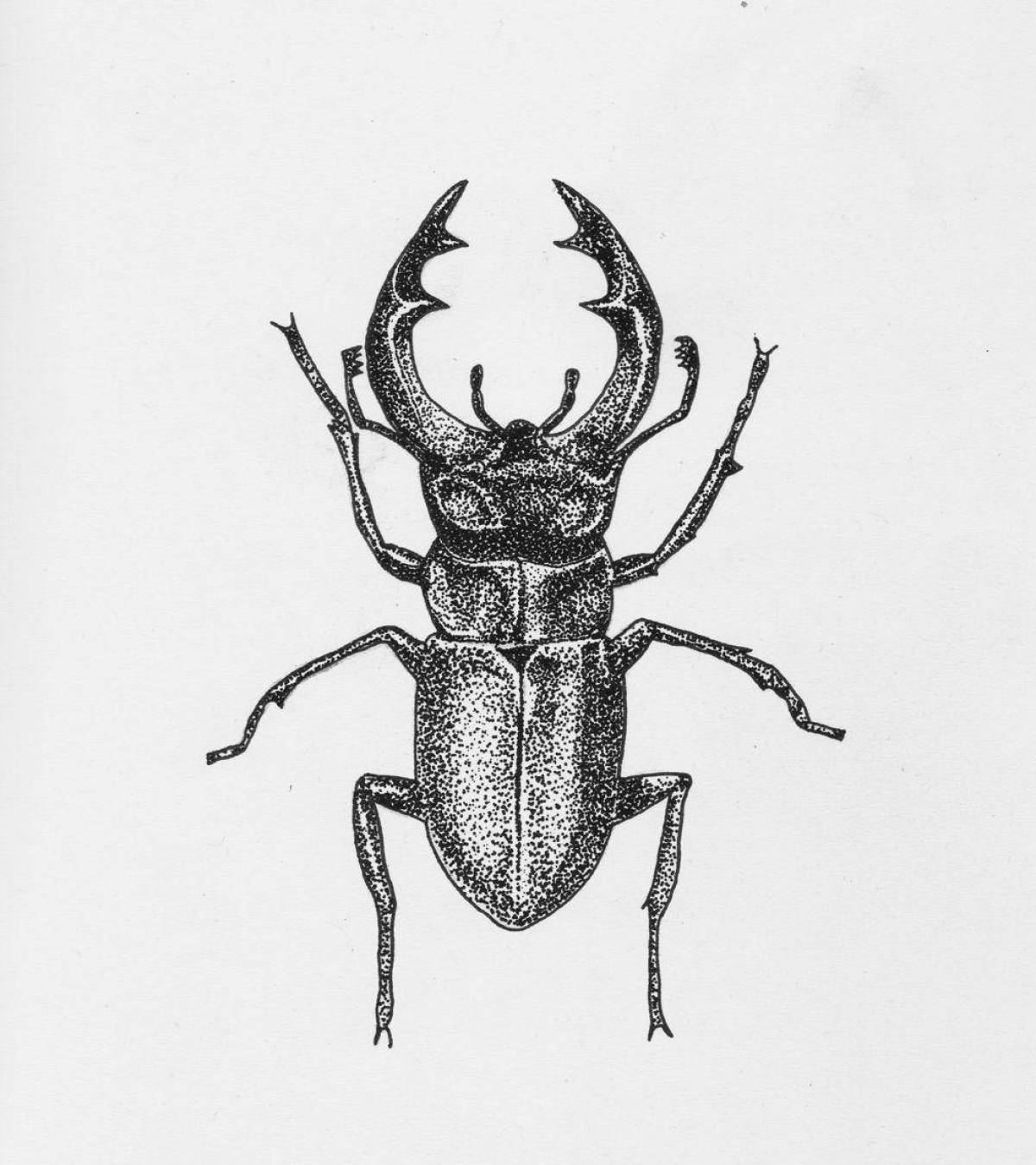 Радиантная раскраска жук-олень