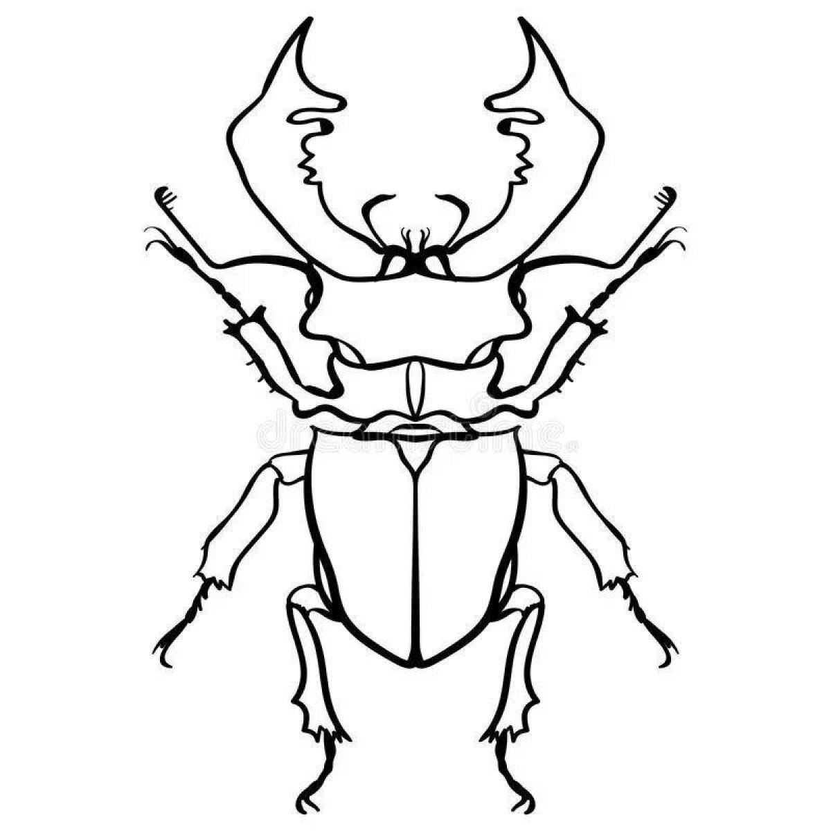 Stag beetle dazzling coloring book