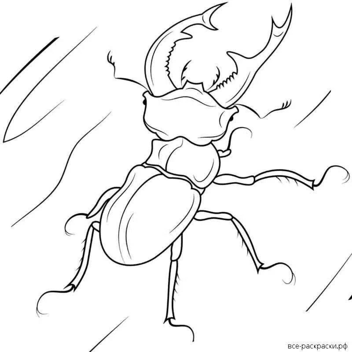 Elegant stag beetle coloring book
