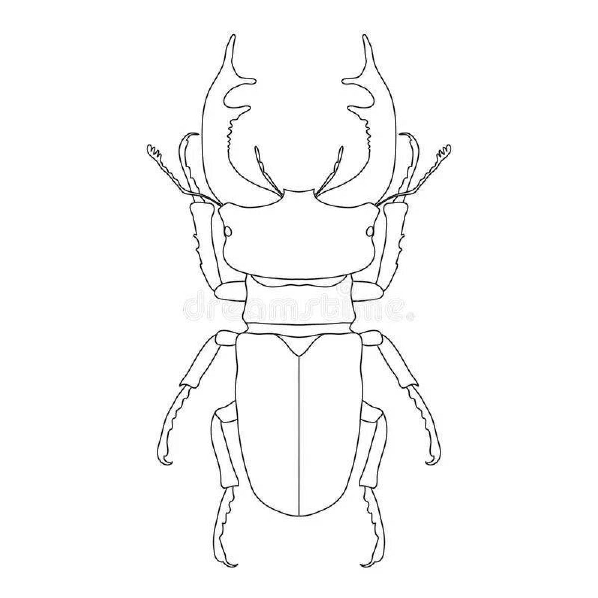 Impressive stag beetle coloring book