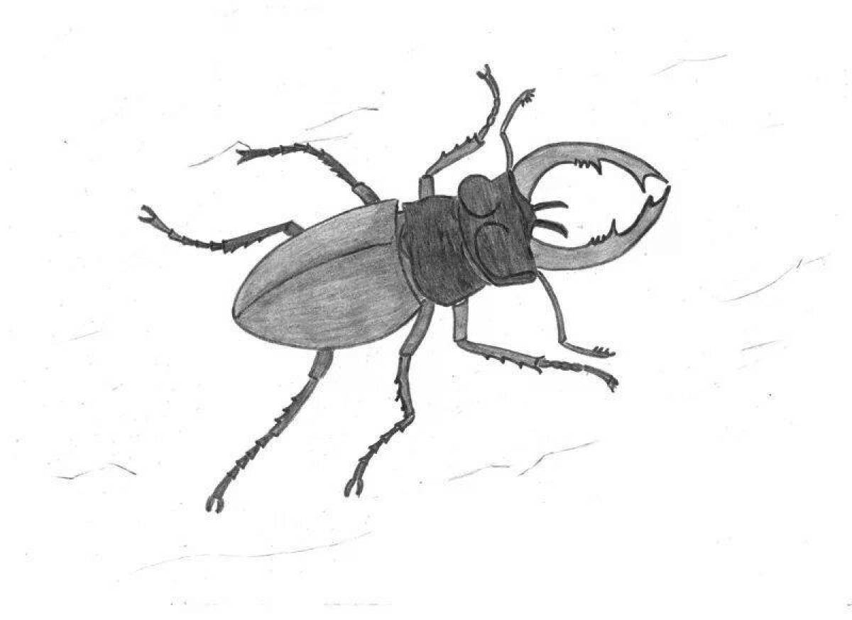 Stag beetle #1