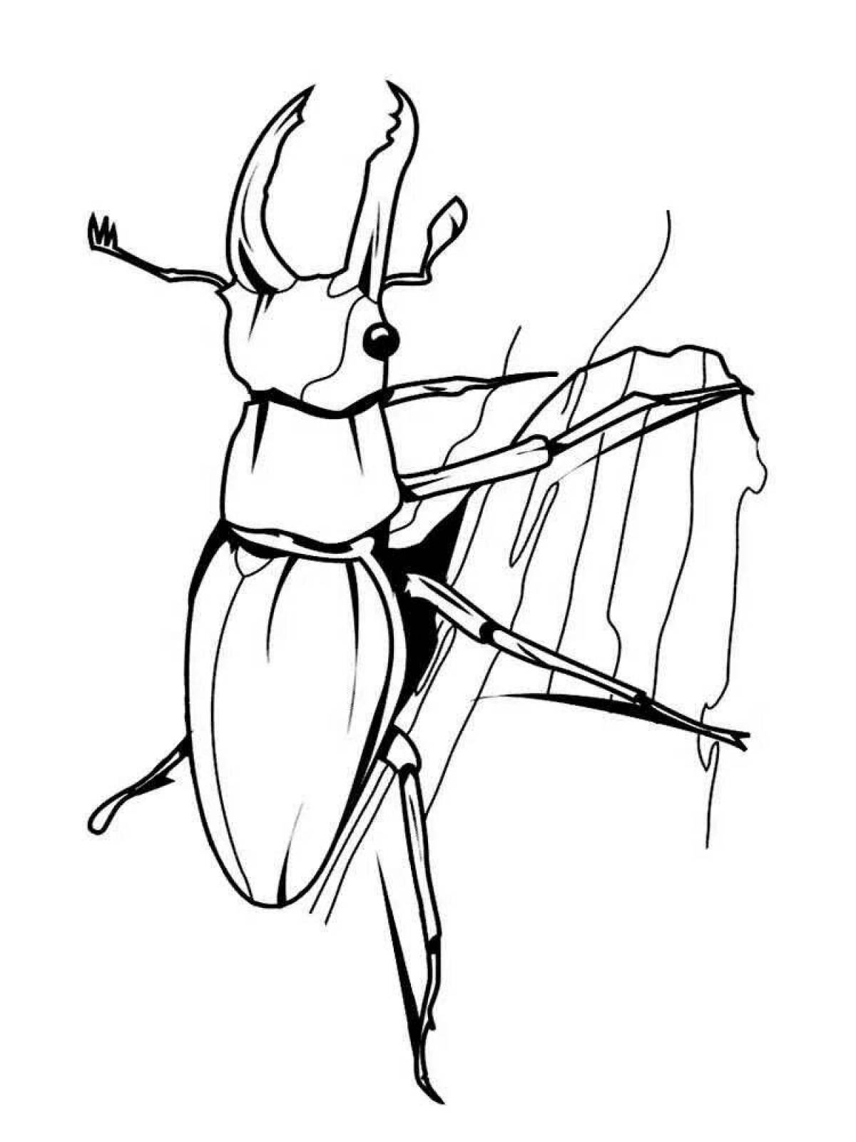 Stag beetle #3