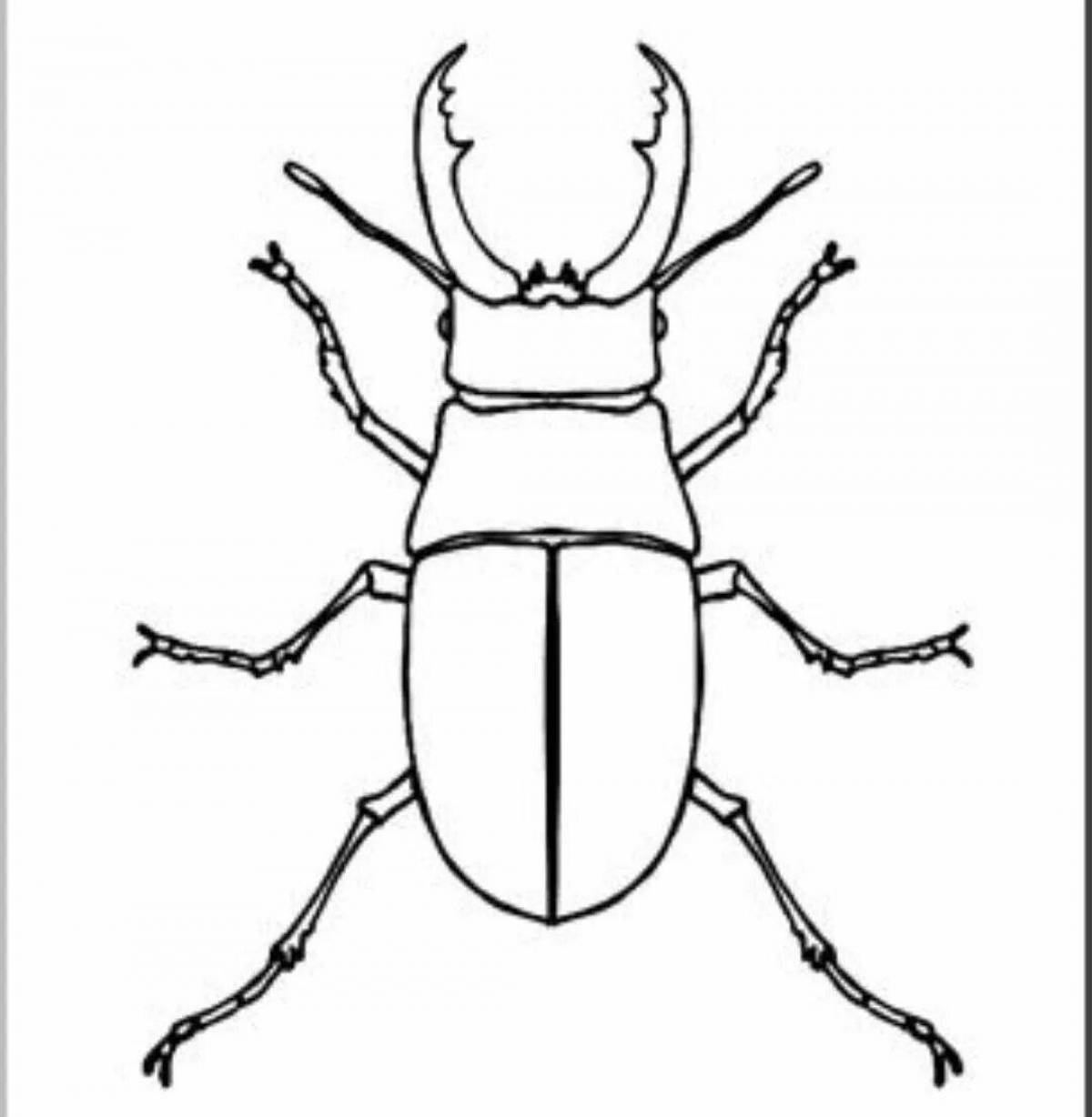 Stag beetle #4