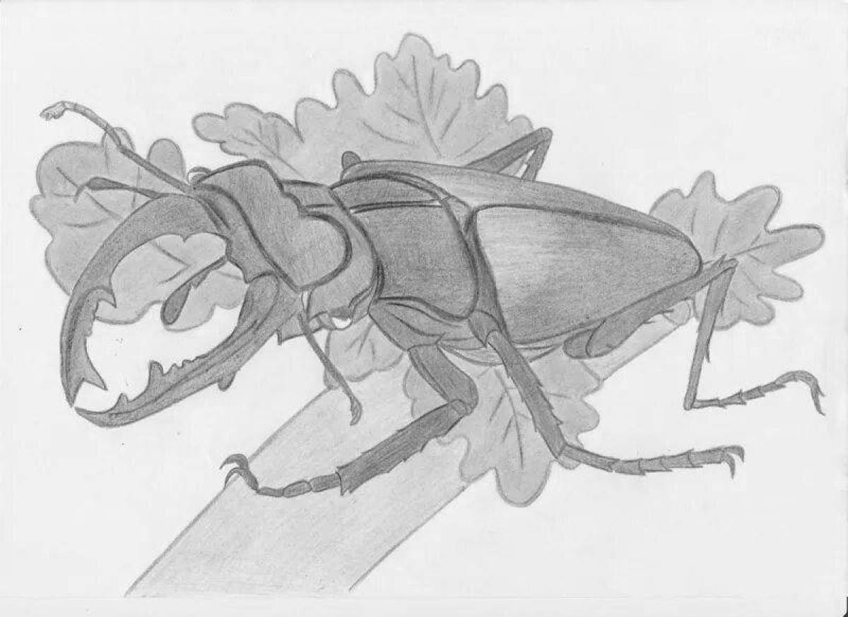 Stag beetle #7
